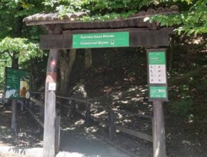 Svjetska turistička organizacija u svoj priručnik uvrstila hrvatsku šumsku stazu Bliznec
