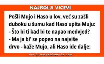 Najbolji vicevi