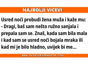 Najbolji vicevi