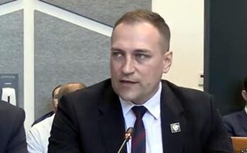 David Vlajčić